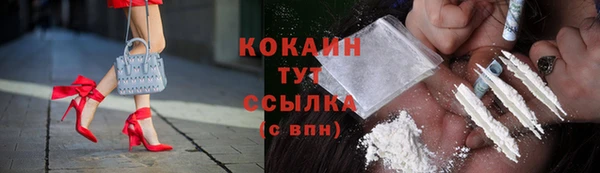 прущие грибы Алексин