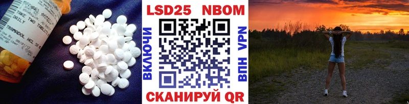 купить блэк спрут tor LSD-25 экстази кислота Камызяк